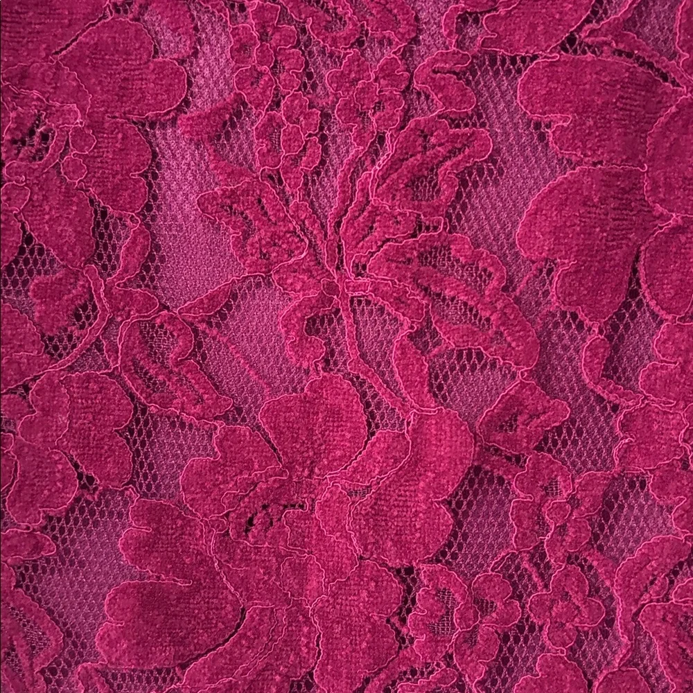 Anthropologie Blue tassel size M Elegant Lace Rapsberry  Top - Picture 5 of 6